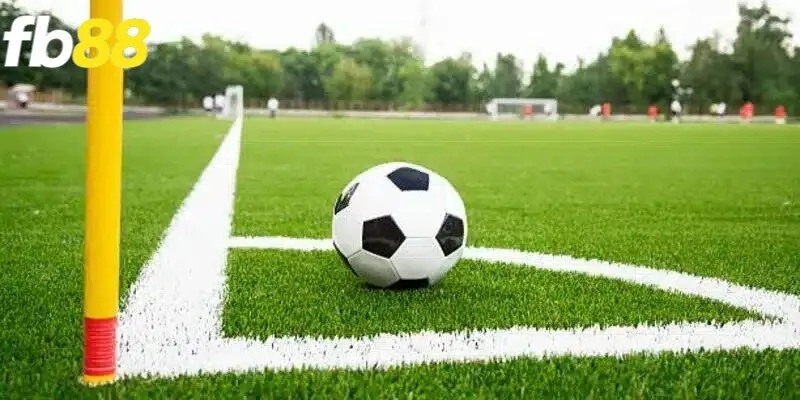 Kèo phạt góc chẵn lẻ là hình thức cược phổ biến trên thị trường 